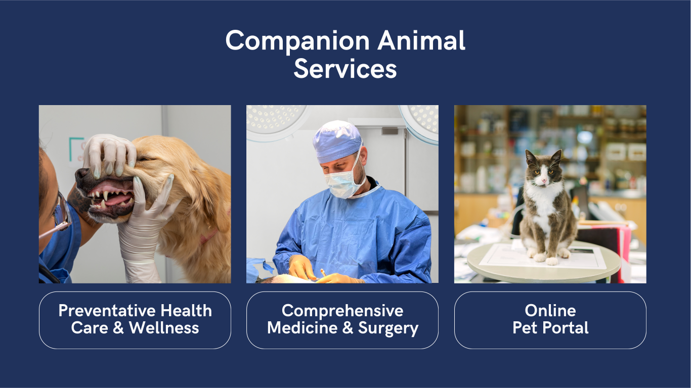 Companion Animal Services