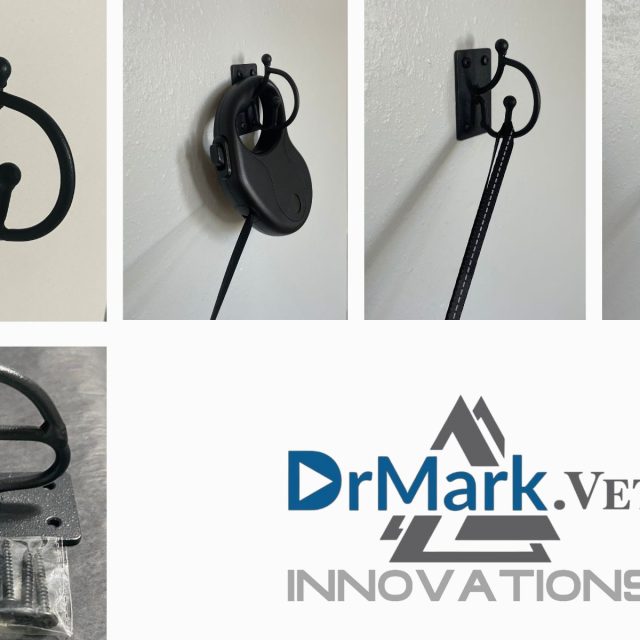 xr:d:DAGBXeooKiQ:10,j:6362884088569223616,t:24040313